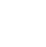 PVM HOLDING JSC